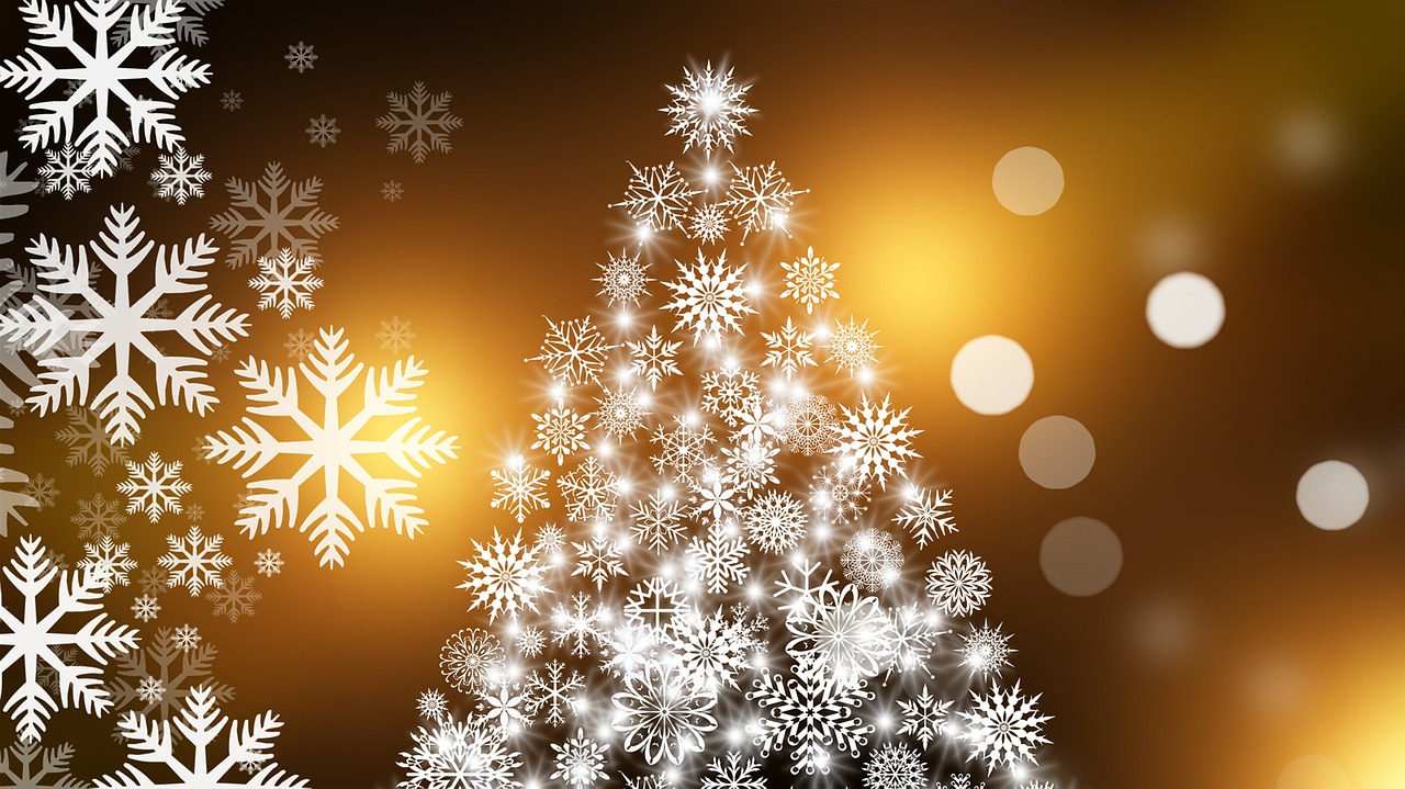 Organiser un repas de Noel en famille.